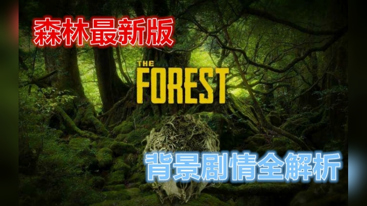 森林剧情分析
