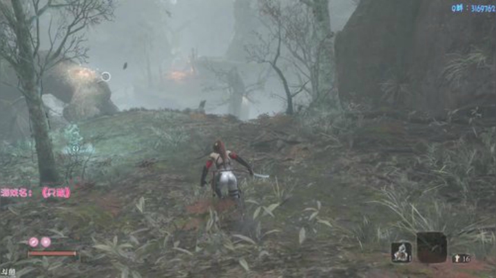 我在斗鱼看安猫直播只狼