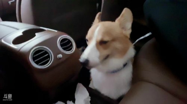 爷爷们进来看一下 2020-07-02 17点场