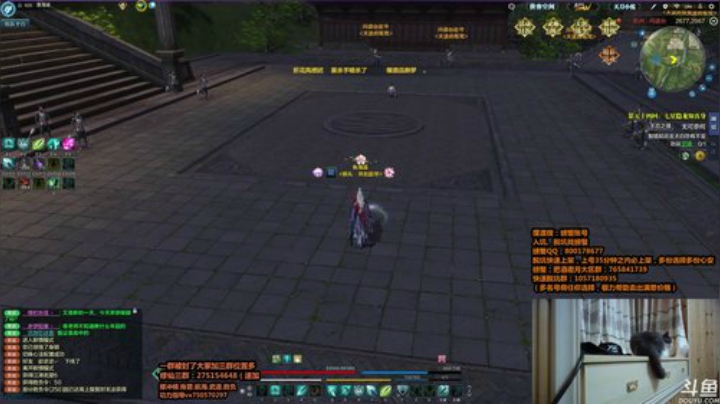 晚上好，有活吗？！！ 2020-07-01 21点场