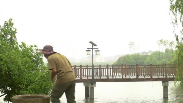 哆啦爱梦梦发布了一个斗鱼视频2020-07-02