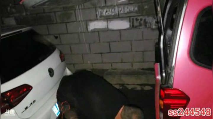 纪实直播:山南地区拉姆拉错，环线97天 2020-07-01 23点场