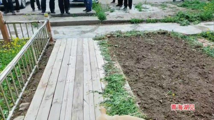 青海行，day21 2020-07-03 14点场