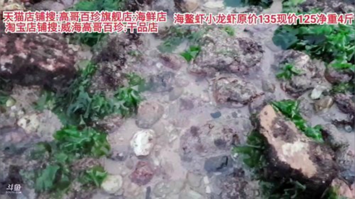 龙马精神丶老狼哥发布了一个斗鱼视频2020-07-03