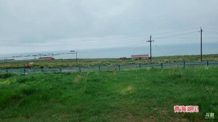 青海行，day21 2020-07-03 12点场