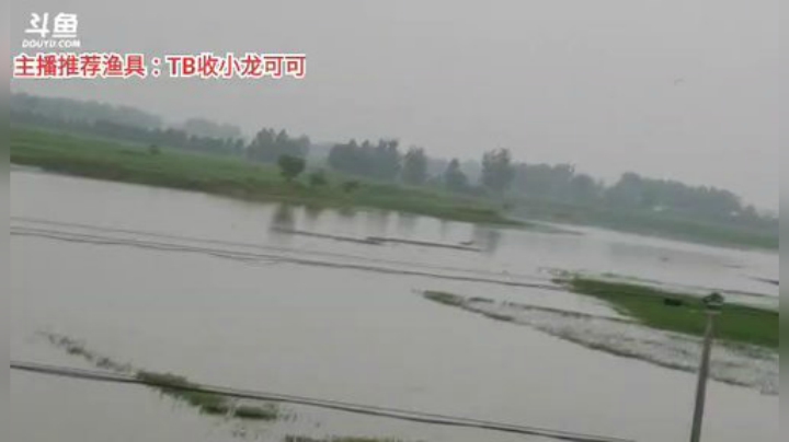 十一郎君01发布了一个斗鱼视频2020-07-03