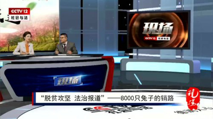 脱贫攻坚 法治报道：8000只兔子的销路 2020-07-03 10点场