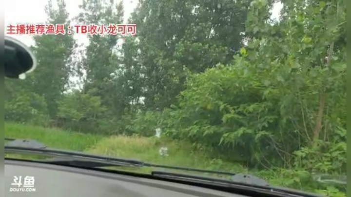 十一郎君01发布了一个斗鱼视频2020-07-04