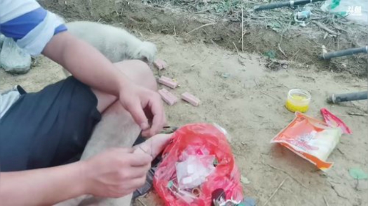 继续补大窝干巨货 2020-07-04 17点场