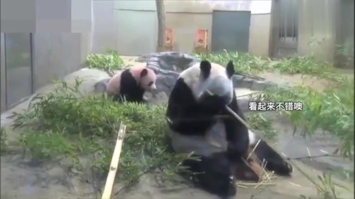 妈突然发现你丢了的样子