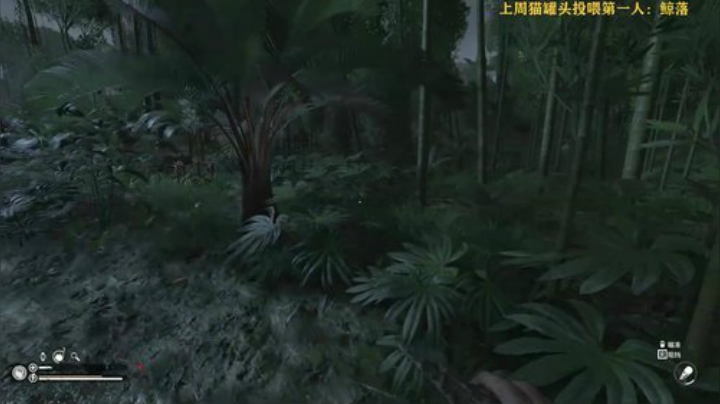 恶龙咆哮！！！嗷！！！！！ 2020-07-04 15点场