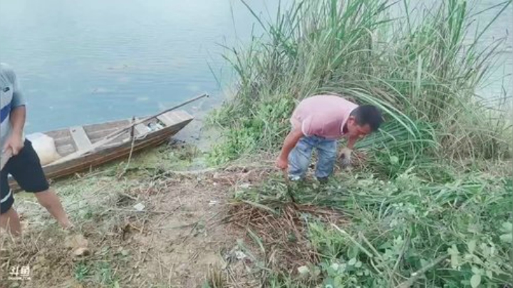 继续补大窝干巨货 2020-07-04 13点场