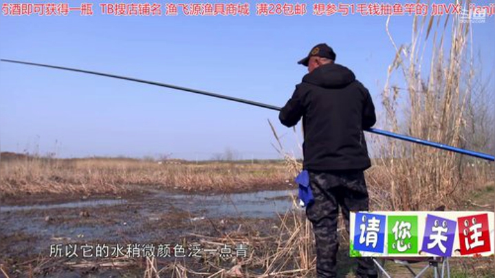 我在斗鱼看贱贱钓鱼直播户外