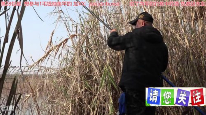 我在斗鱼看贱贱钓鱼直播户外
