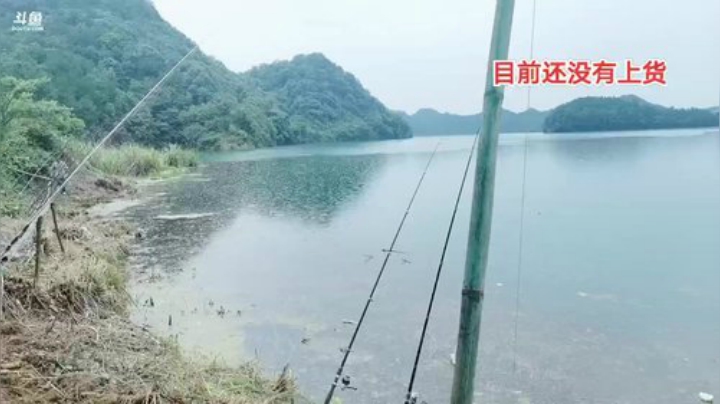 继续补窝继续守巨货 2020-07-05 14点场