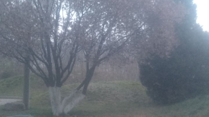 上分了 快来吧 从白银到钻石