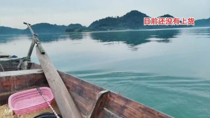 继续补窝继续守巨货 2020-07-05 16点场