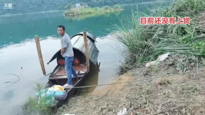 继续补窝继续守巨货 2020-07-05 10点场