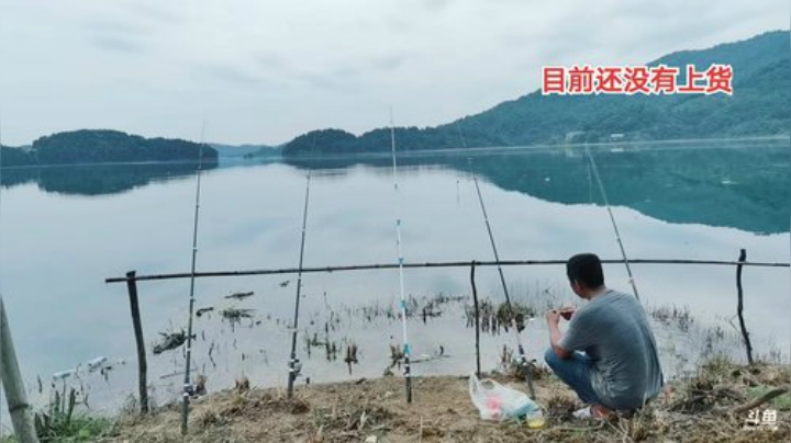 继续补窝继续守巨货 2020-07-05 12点场