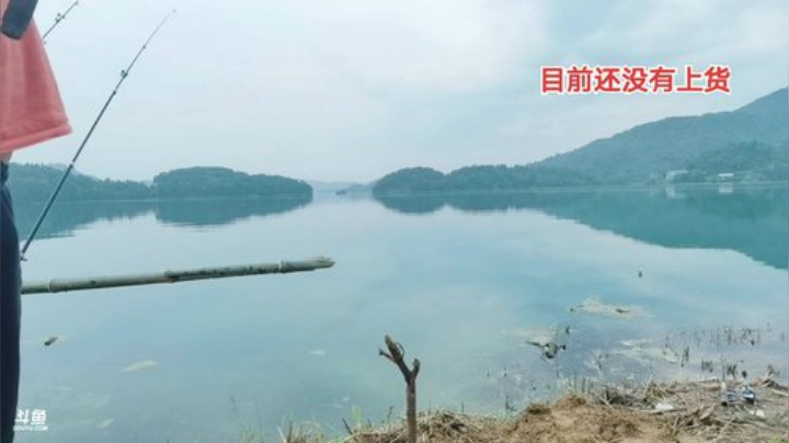 继续补窝继续守巨货 2020-07-05 08点场