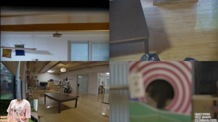 HHHISHHH发布了一个斗鱼视频2020-07-06