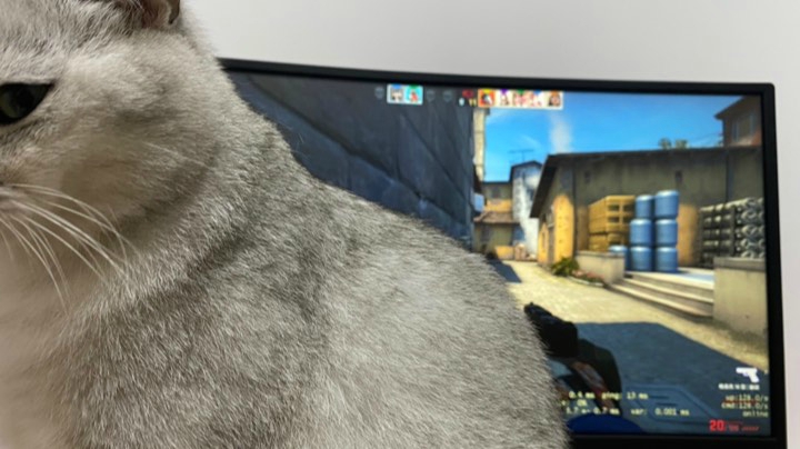 猛的呀批