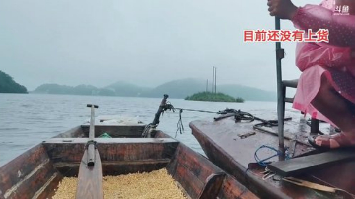 水库继续守巨货第三天 2020-07-06 11点场