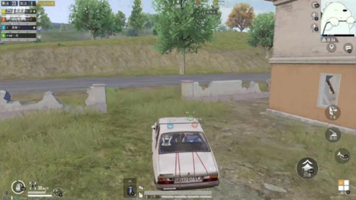 运营高手！拼抢菜狗！上车吧 2020-07-06 05点场