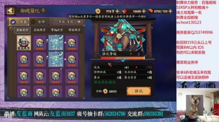 斗技战术退役 多请几个老板  楼上请 2020-07-01 19点场
