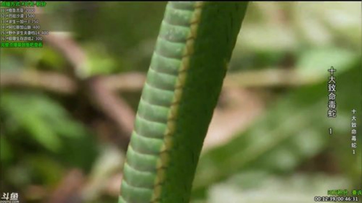 静思世语发布了一个斗鱼视频2020-07-06