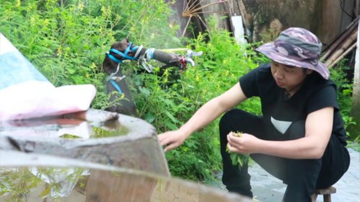 哆啦爱梦梦发布了一个斗鱼视频2020-07-07