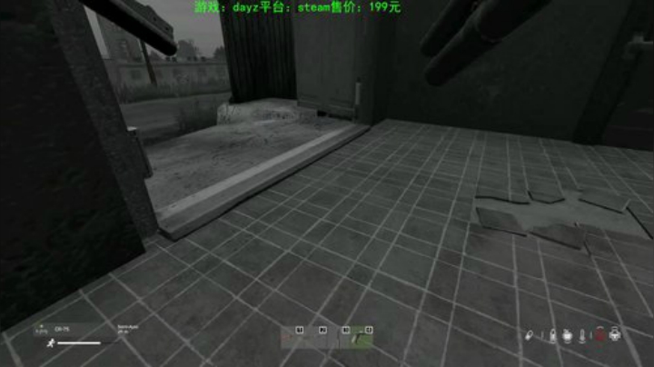 dayz (艺术家的生存哲学） 2020-07-06 17点场