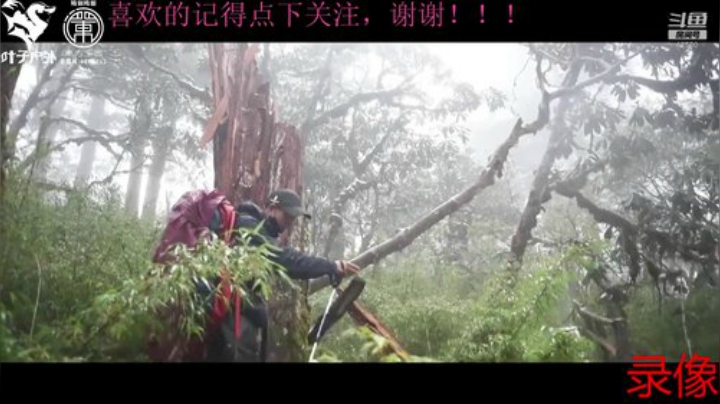 纪实直播:西藏阿里南线第101天 2020-07-07 04点场