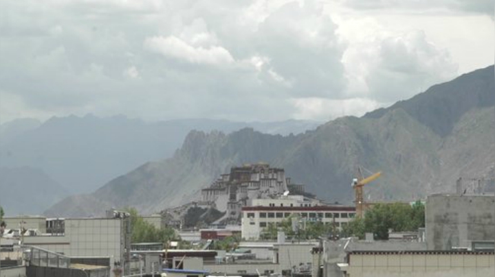 户外遛狗王飞哥发布了一个斗鱼视频2020-07-08