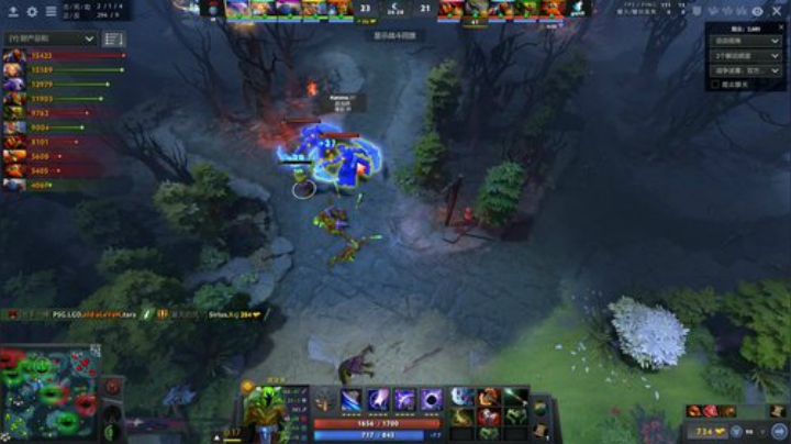 PSG.lgd vs Sirius 2020-07-08 16点场