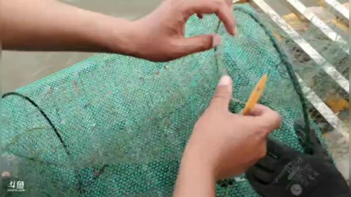 科头溜子发布了一个斗鱼视频2020-07-08