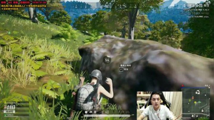 草莓：老WE 吃鸡 2020-07-08 00点场