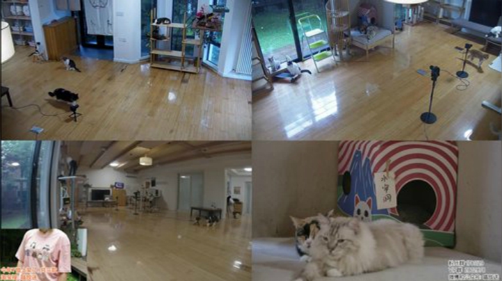 HHHISHHH发布了一个斗鱼视频2020-07-08