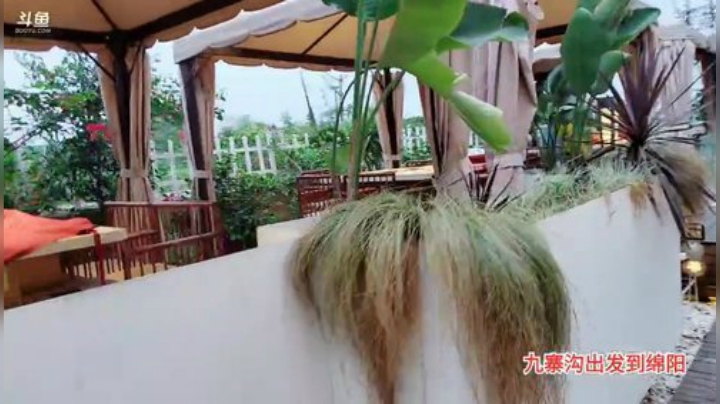 绵阳，day27 2020-07-09 19点场