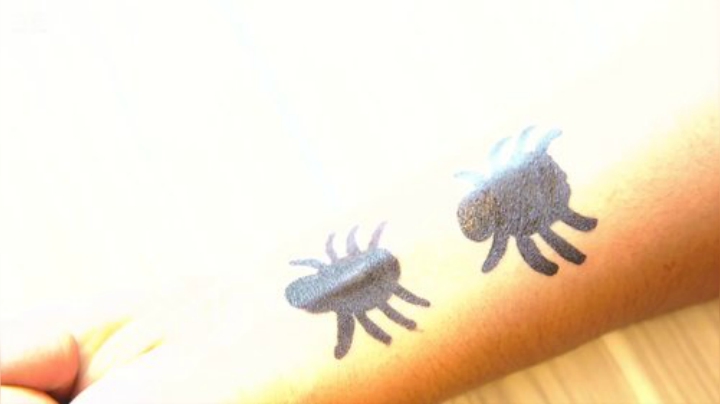 我在斗鱼看野食小哥直播美食