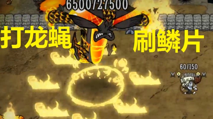 打龙蝇+刷鳞片