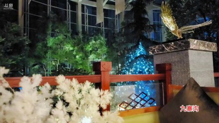 九寨沟，day26 2020-07-08 21点场