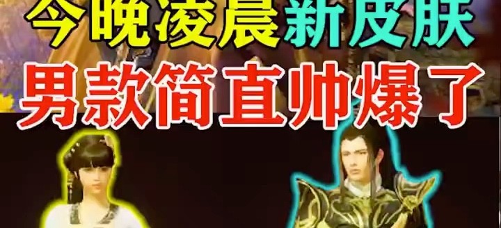 心皮肤