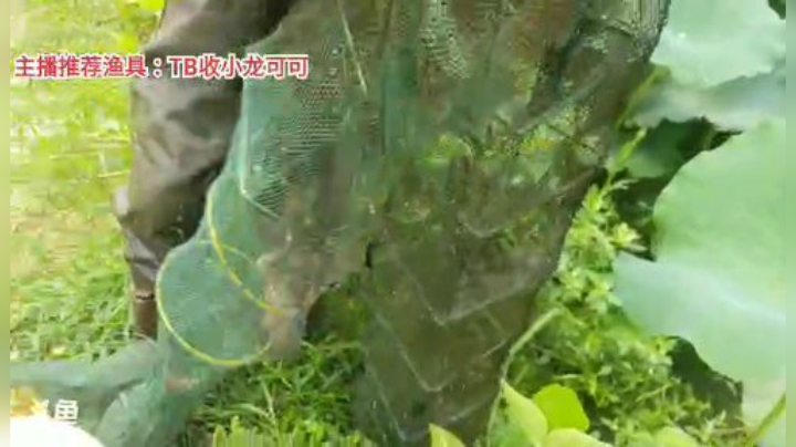 十一郎君01发布了一个斗鱼视频2020-07-10
