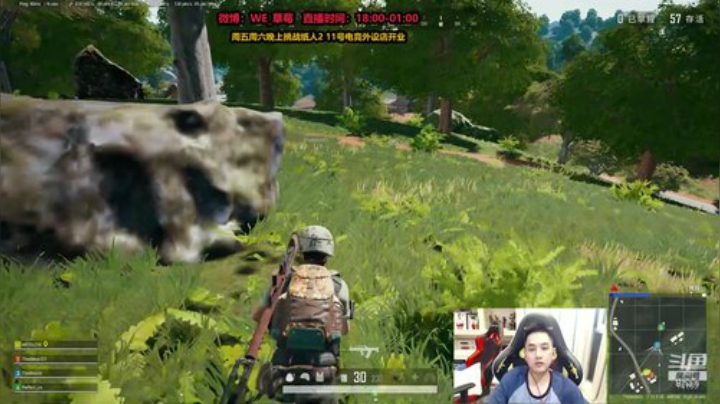 草莓：吃鸡冲钻石 晚上峡谷排位 2020-07-10 01点场