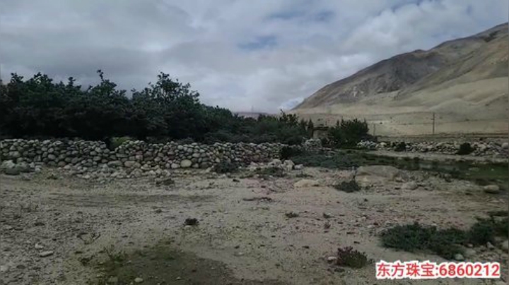 纪实直播:西藏珠峰东坡第105天 2020-07-10 15点场