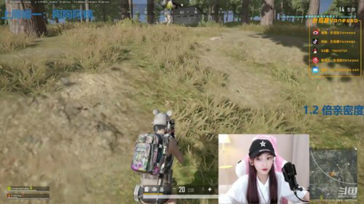 叶知秋：播一天游戏 明天去长沙 2020-07-11 17点场