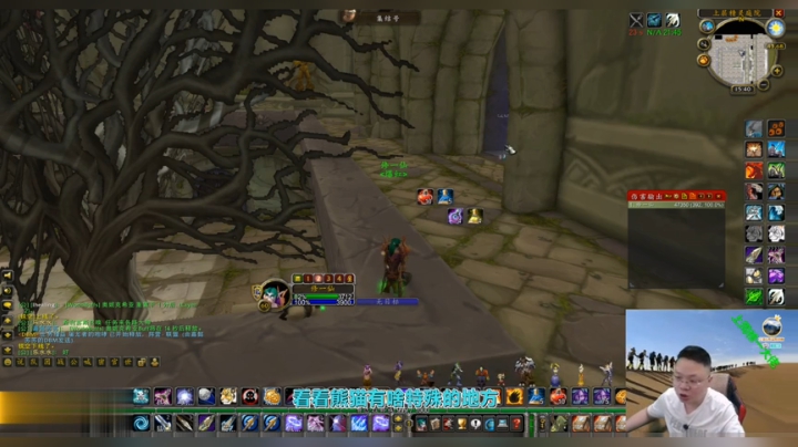 魔兽世界怀旧服：暴雪搞促销送的宠物熊猫好看吗？请谨慎购买！