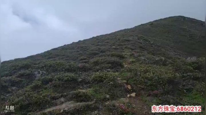 纪实直播:西藏珠峰东坡第106天 2020-07-11 11点场