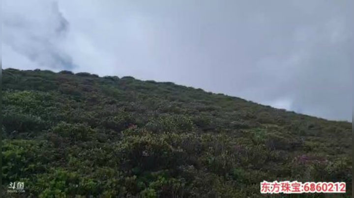 纪实直播:西藏珠峰东坡第106天 2020-07-11 11点场